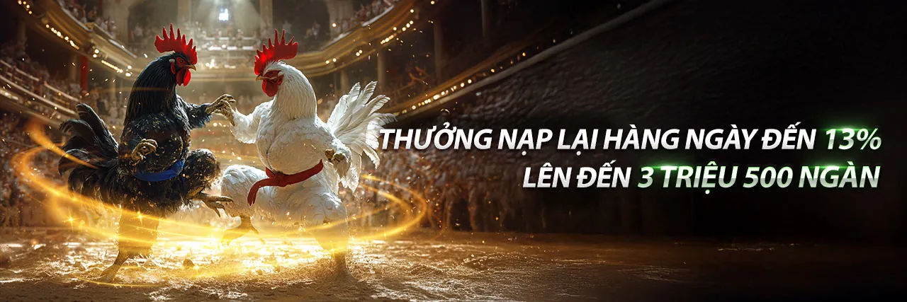 Đăng ký tài khoản daga truc tiep 2026